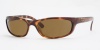 Ray Ban RB4115 Sunglasses