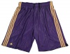 Adidas NBA Fusion Mens Basketball Shorts, Double Layered, Purple