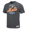 MLB New York Mets T-Shirt, Grey