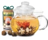 Primula 40-Ounce Blossom Glass Teapot with Loose Tea Infuser and 12 Flowering Green Teas