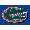 NCAA Florida Gators 20-Inch-by-30-Inch Tufted Rug