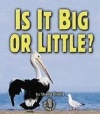 Is It Big Or Little (First Step Nonfiction)
