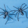 144 - 1.5 BLACK CREEPY HALLOWEEN SPIDERS!