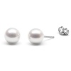 HinsonGayle AAA Handpicked 7.5-8.0mm White Round Freshwater Cultured Pearl Stud Earrings 14k W Gold