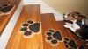 Non-Skid Pet Steps for any Stairway