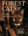 Forest Cats of North America