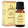 Pure Clarity Synergy Blend Essential Oil 100% Pure & Natural Therapeutic Grade 10 ml - Aid to Brain to Clear the Mind, Increase Mental Focus and Alertness - Bergamot, Basil, Lemon, and Grapefruit